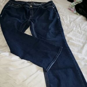 Melissa McCarthy 7 Jeans